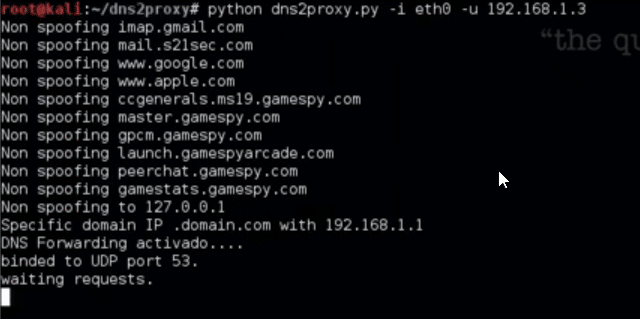 dns2proxy - Offensive DNS server
