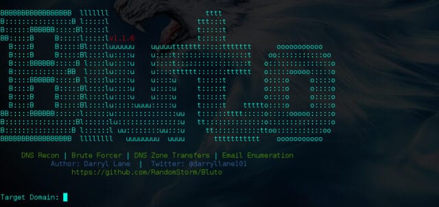 Bluto - DNS Recon, Zone Transfer & Brute Forcer