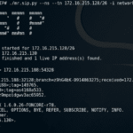 Mr.SIP - SIP Attack And Audit Tool