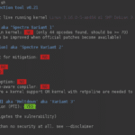 Spectre & Meltdown Checker - Vulnerability Mitigation Tool For Linux