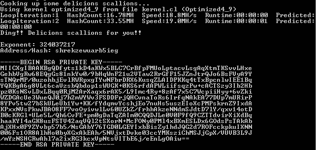 Scallion - GPU Based Onion Hash Generator