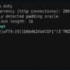 padre - Padding Oracle Attack Tool