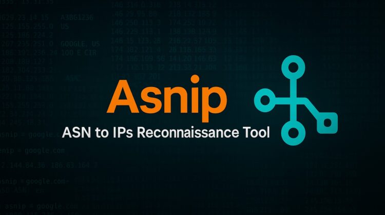 asnip - ASN Reconnaissance via Domain and IP Mapping